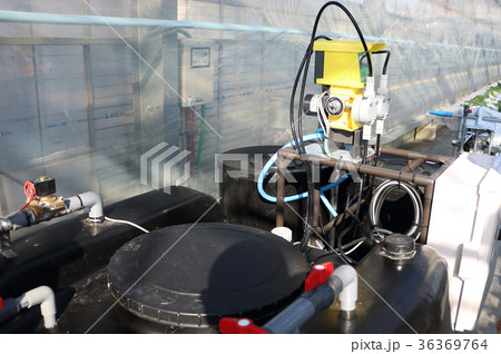 イチゴ園の液肥タンク 36369764