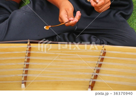 Playing the dulcimer Playing the dulcimer 36370940