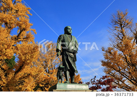 上野　西郷隆盛像 36371733