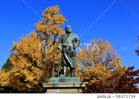 上野　西郷隆盛像 36371734