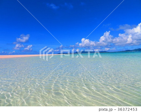 沖縄 座間味島 夏の古座間味ビーチ 沖縄 座間味島 夏の古座間味ビーチ 36372453