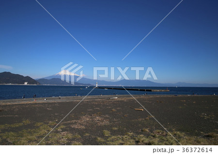 真崎海水浴場から見た富士山の写真素材