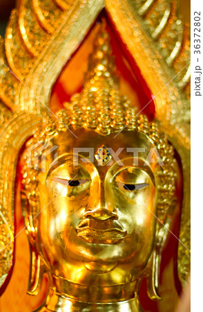 Thai Buddha  Buddha Statue in Thailand 36372802