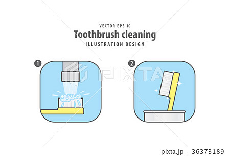 Step of toothbrush cleaning illustration vector 36373189