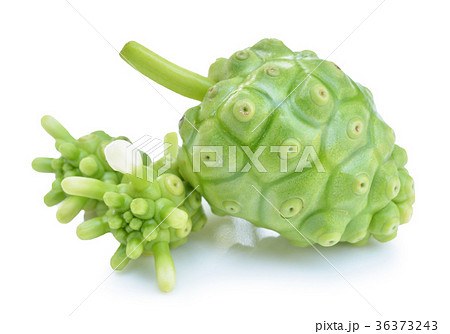 Noni on white Noni on white 36373243