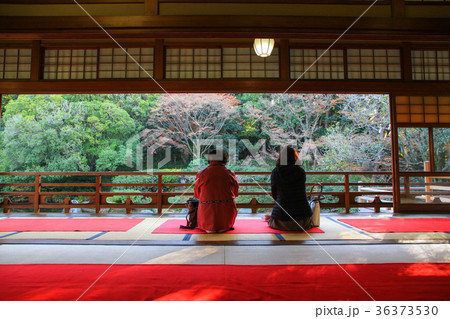 友泉亭の秋 友泉亭の秋 36373530