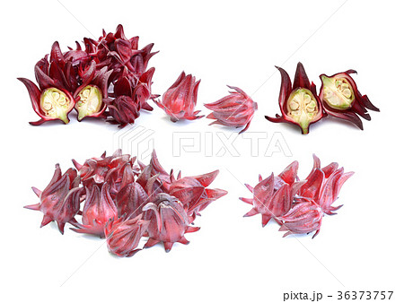 Roselle fruits Roselle fruits 36373757