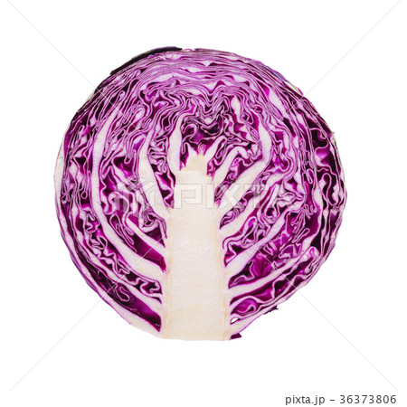 Fresh red cabbage Fresh red cabbage 36373806