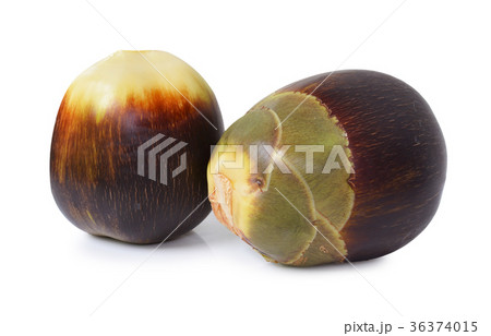 Fresh Toddy palm Fresh Toddy palm 36374015