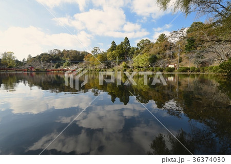 茂原公園の弁天湖 36374030