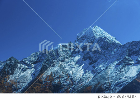 タムセルク 36374287