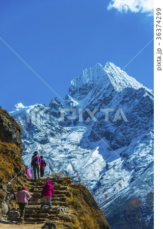 タムセルク 36374299