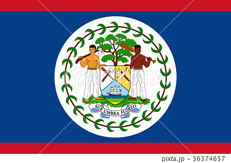 Official vector flag of Belize 36374657