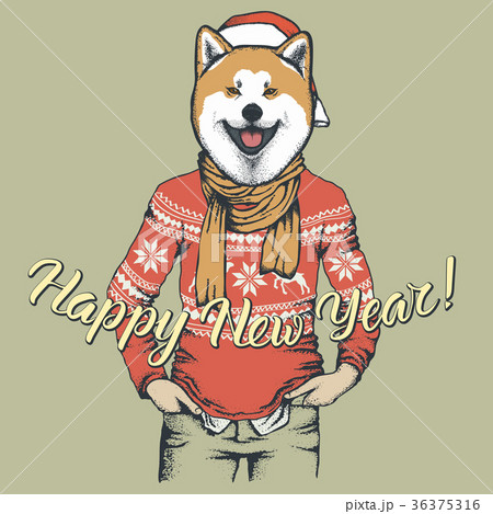 Dog Christmas vector illustration 36375316