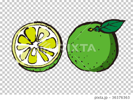 すだちのイラスト素材
