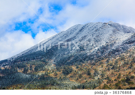 妙見岳の雪景色　雲仙ゴルフ場近くから 36376868