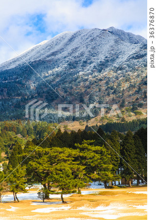 妙見岳の雪景色 雲仙ゴルフ場近くから 妙見岳の雪景色 雲仙ゴルフ場近くから 36376870