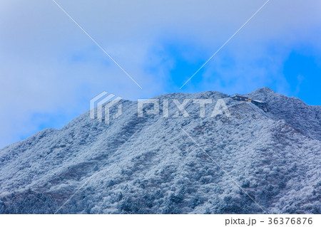 妙見岳の雪景色　雲仙ゴルフ場近くから 36376876