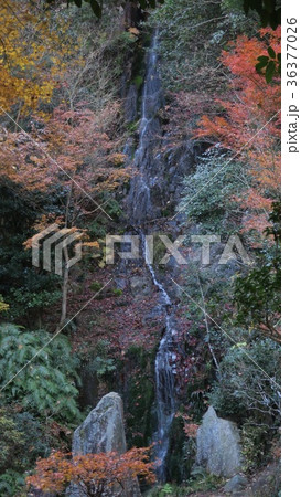 三瀧寺　二之瀧　梵音之瀧～広島県広島市西区～ 36377026