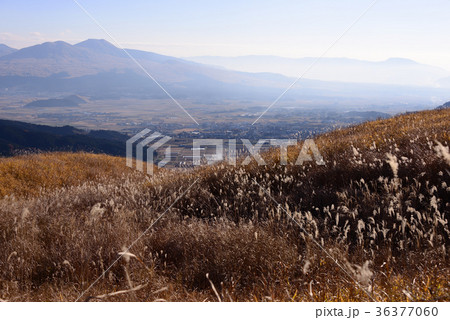 初冬の阿蘇 36377060