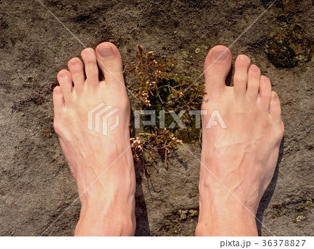 Naked male feet on dry sandstone. Fresh pink skin Naked male feet on dry sandstone. Fresh pink skin 36378827