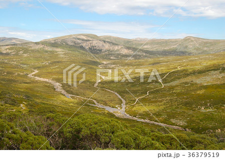 View from the Charlotte Pass - Thredbo View from the Charlotte Pass - Thredbo 36379519