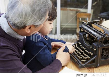 少年 孫 子供 36380652