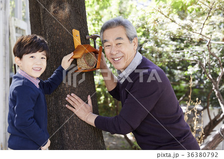 感情 教育 男性 36380792