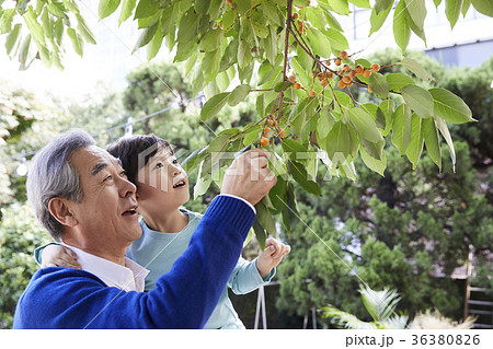 感情 頭持ち上げる 顔をあげる 36380826