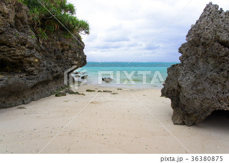 与論島 黒花海岸 36380875
