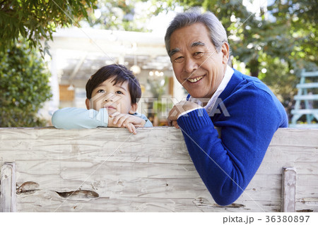 感情 東洋人 はしご 36380897