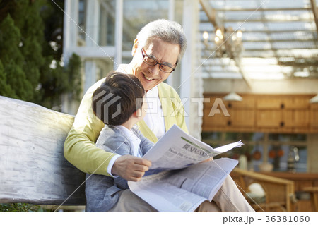 木 高齢者 老人 36381060