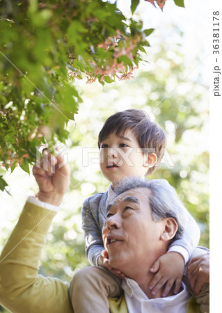 高齢者 老人 少年 36381178
