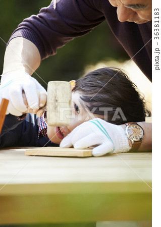 木 男子 巣 36381183