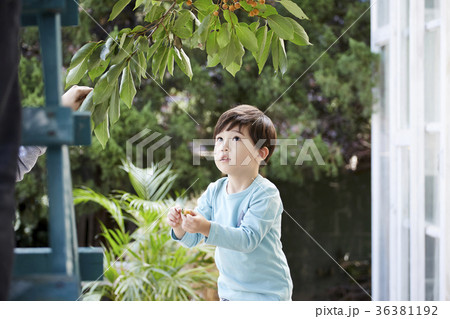 観察 同心 童心 36381192