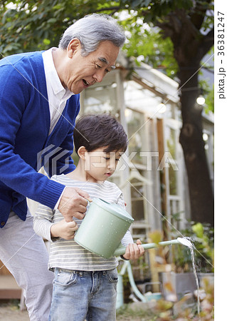 木 遊び スプリンクラー 36381247