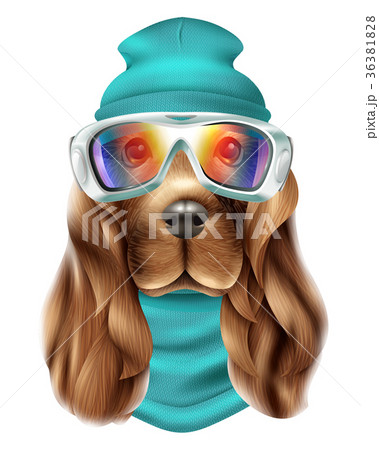 Realistic Spaniel Dog Ski Suit Portrait 36381828