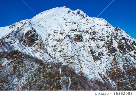 冠雪した谷川岳の双耳（谷川岳） 36382088