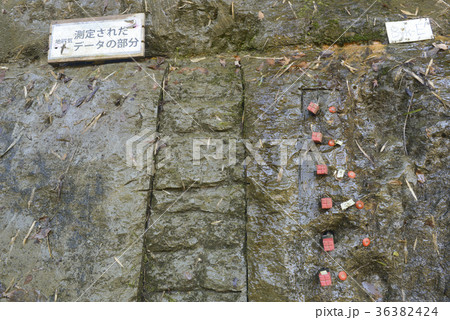 地層 チバ二アン 千葉県 市原市 地層 チバ二アン 千葉県 市原市 36382424