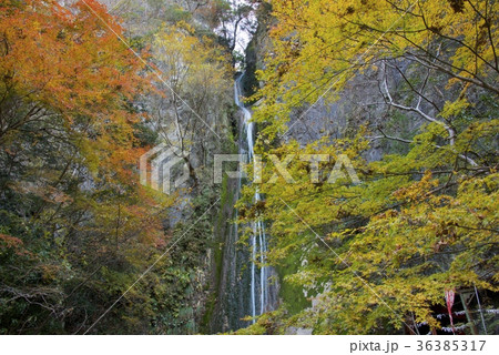 秋の岡山県新見市の絹掛の滝 秋の岡山県新見市の絹掛の滝 36385317
