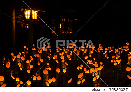 穂高神社　神竹灯 36386027