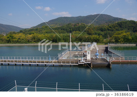 宮川内調整池 36386619