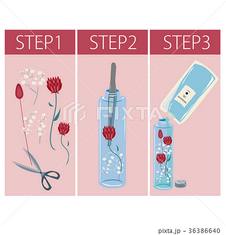 ハーバリウム作り方セットのイラスト素材