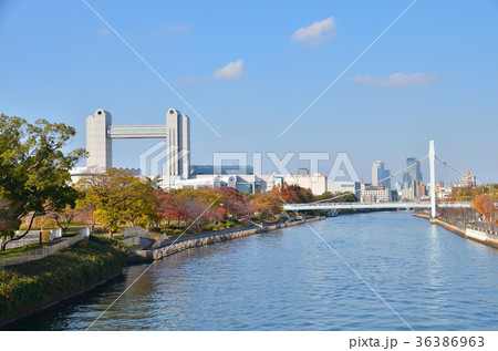 名古屋市堀川　都市風景 36386963