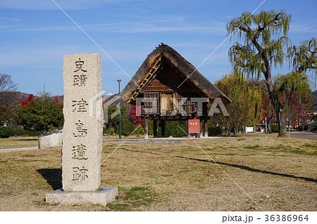 岡山県総合運動公園：弥生時代の住居などを復元した「津島遺跡」 36386964