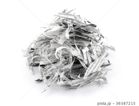 Shredded paper strips  36387215