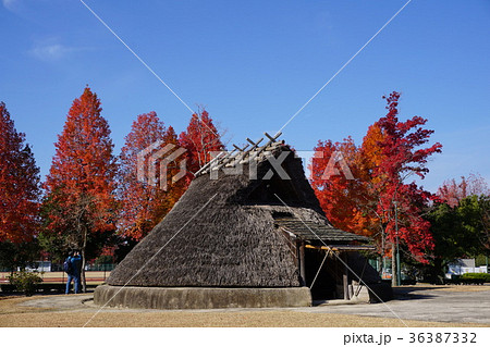 岡山県総合運動公園：弥生時代の住居などを復元した「津島遺跡」 36387332