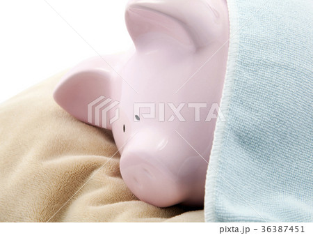 Sleeping piggy bank  36387451
