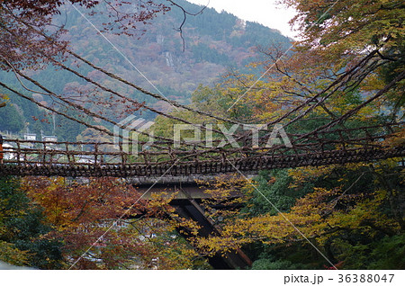 西祖谷のかずら橋 西祖谷のかずら橋 36388047