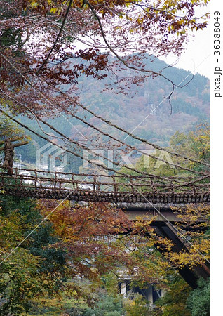 西祖谷のかずら橋 36388049